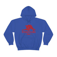 Wrestling Dad with College Wrestling Graphic Hoodie